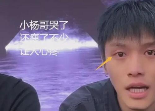 小杨哥今日吃瓜直播回放,揭秘娱乐圈幕后故事