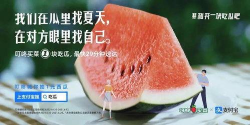 热门文案瓜,揭秘网络爆款文案背后的秘密与技巧
