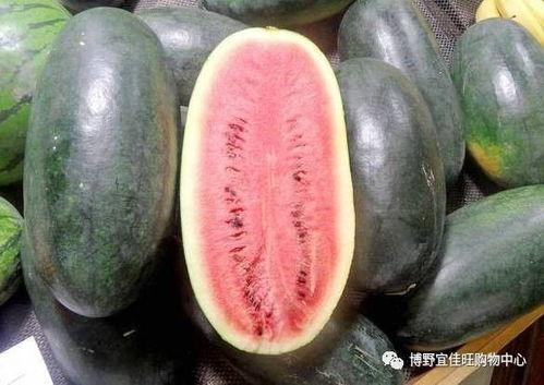 每日黑瓜吃料量是多少