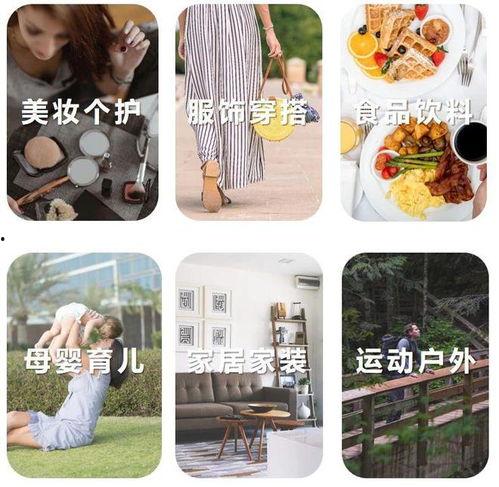2024热门瓜,揭秘年度“瓜王”