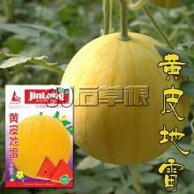全网热门瓜,揭秘热门瓜背后的真相与内幕