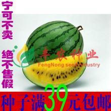 全网热门瓜,揭秘热门瓜背后的真相与内幕