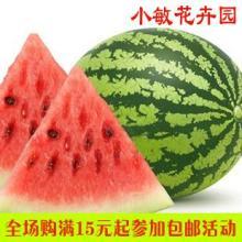 全网热门瓜,揭秘热门瓜背后的真相与内幕