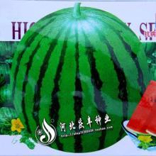 飞瓜热门,揭秘短视频平台热门内容背后的秘密