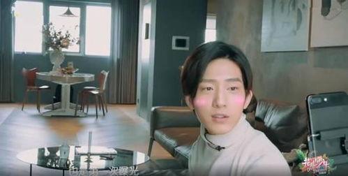 明星网红家里摆件,独特摆件背后的故事