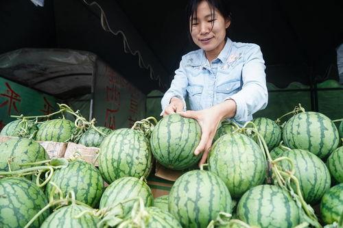 南京热门瓜,揭秘都市生活背后的惊人真相
