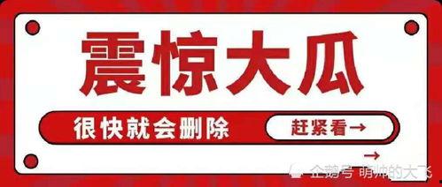 今日份八卦快乐吃瓜,快乐吃瓜，揭秘娱乐圈幕后故事