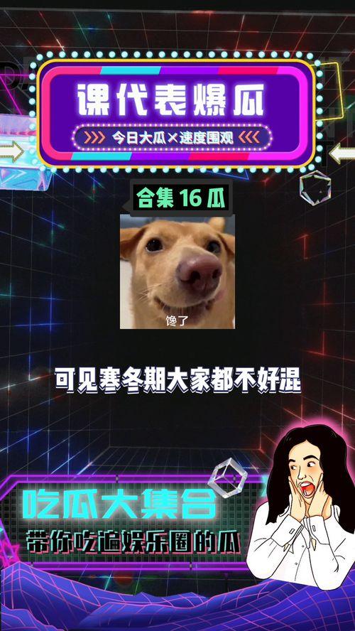 今日份八卦快乐吃瓜,快乐吃瓜，揭秘娱乐圈幕后故事