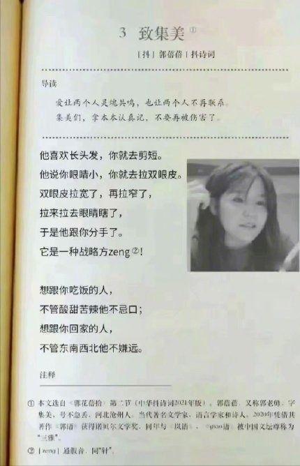 明星网红怎么翻译,揭秘网络红人的影响力