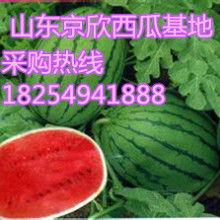 热门瓜河北,河北风云再起，背后真相令人震惊