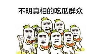 今日吃瓜群众生活记,趣味横生的日常点滴