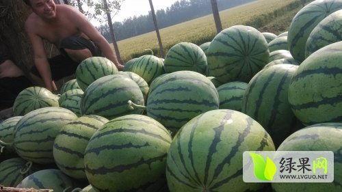最近热门瓜,揭秘明星背后的惊人真相！
