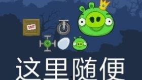 51热门今日吃瓜喵小吉,今日吃瓜喵小吉，揭秘娱乐圈最新热点