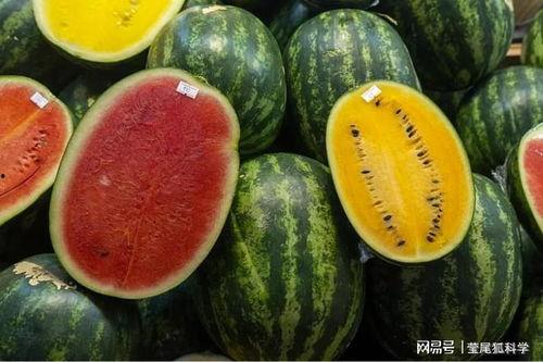 吃瓜黑瓜爆料是真的吗还是假的,真相揭秘，是真是假？