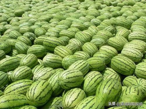 吃瓜热门大瓜,吃瓜群众沸腾不已！