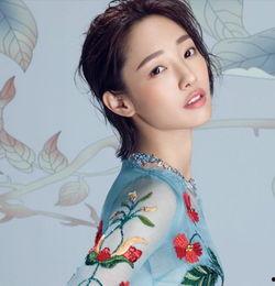 新余女明星网红,闪耀舞台，魅力四射的璀璨之星”