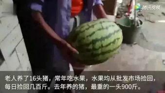 去年热门瓜,揭秘幕后真相与情感纠葛