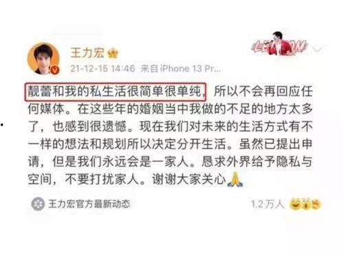 丽水今日吃瓜事件始末是什么,一场网络热议的始末揭秘