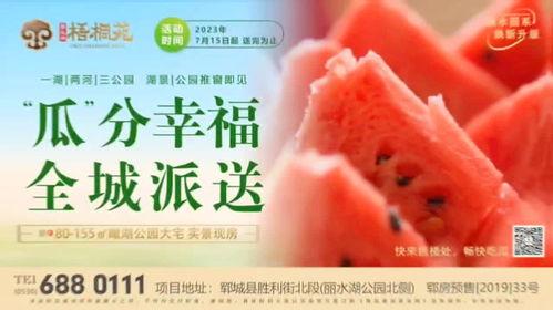 丽水今日吃瓜事件始末是什么,一场网络热议的始末揭秘