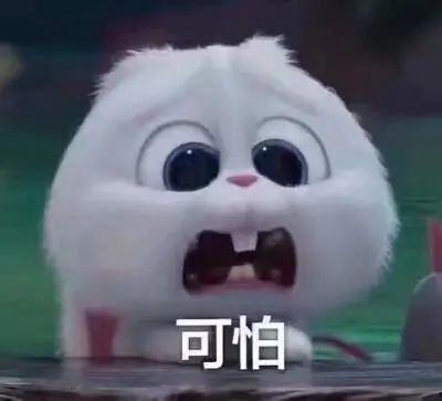 今日南宁吃瓜事件真相,揭秘背后真相与网络舆论的反思