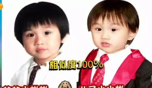 明星网红的爸妈,揭秘明星网红背后的爸妈传奇