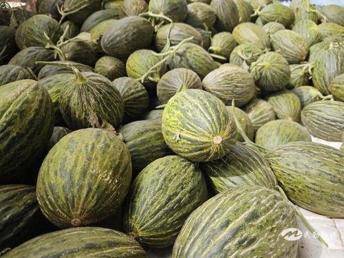 热门小瓜,探寻网络热点的背后故事