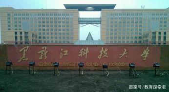 黑龙江科技大学热门瓜,揭秘校园风云事件背后的真相