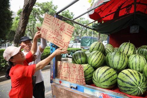 兰州热门瓜,探寻兰州特色瓜果的魅力之旅