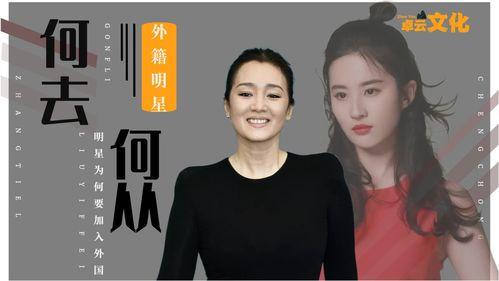 接待国外明星网红,国际巨星网红莅临我国，共襄盛举