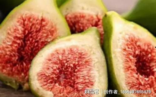 孕酮低可以吃黑茄瓜吗,黑茄瓜助力健康孕育