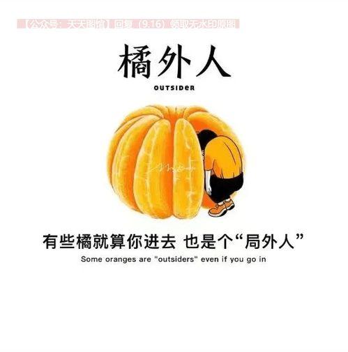抖音瓜热门瓜社会瓜