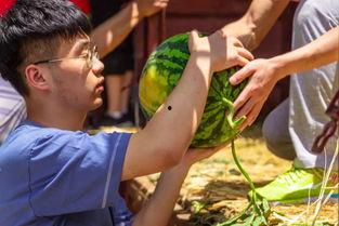 花臂老师吃瓜爆料,娱乐圈那些不为人知的幕后故事