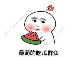 抖音热门大瓜合集,揭秘网络红人背后的故事