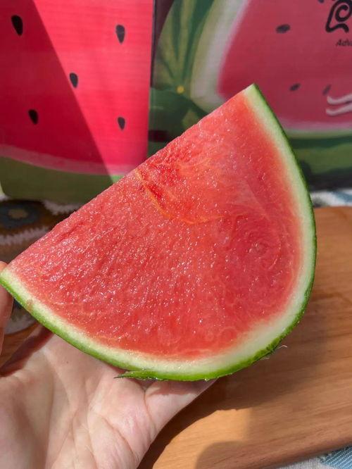 今日吃瓜第一天,揭秘娱乐圈最新热点事件