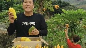 什么瓜带黑籽儿吃最好,营养美味，食用指南揭秘
