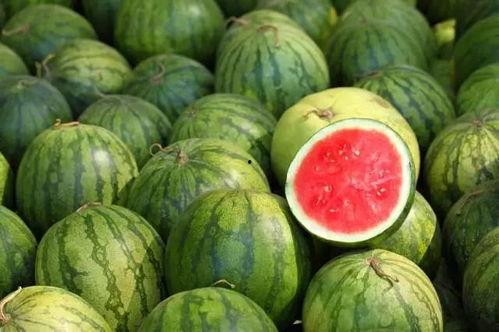 外国吃瓜视频爆料大全,外国吃瓜视频爆料大全揭秘
