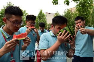 学校热门瓜,揭秘学校热门瓜背后的故事