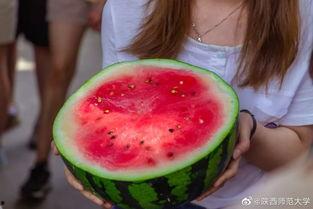 学校热门瓜,揭秘学校热门瓜背后的故事
