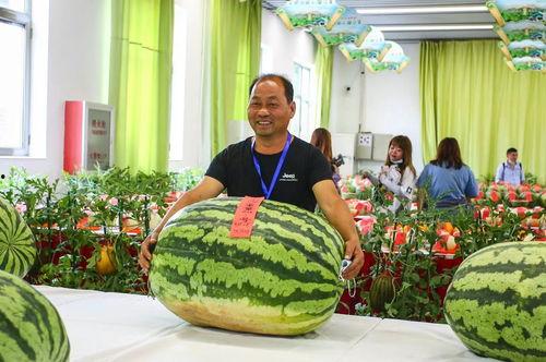 热门瓜社会瓜,盘点近期热议事件背后的真相与争议