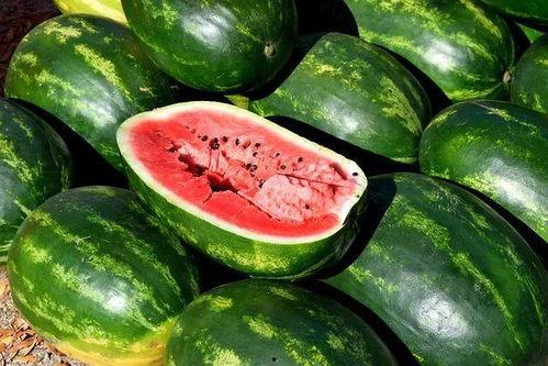 贵阳吃瓜爆料视频大全,揭秘城市生活百态