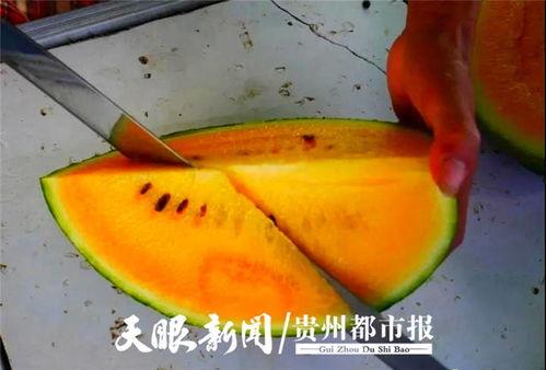 贵阳吃瓜爆料视频大全,揭秘城市生活百态