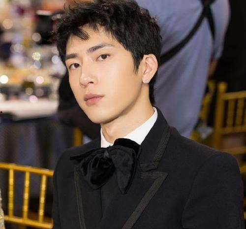 明星网红男演员,揭秘明星网红男演员的魅力之路