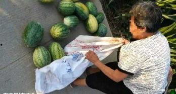 近期热门瓜,揭秘明星背后的惊人真相！