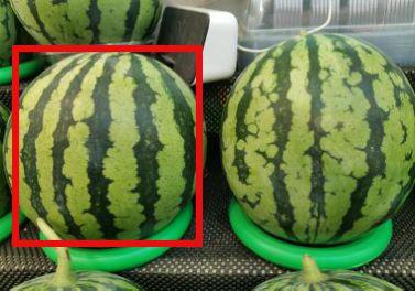 热门吃瓜,揭秘明星幕后故事