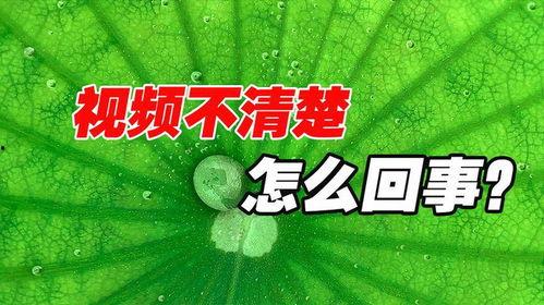 往期抖音热门旧瓜,回顾那些曾引发热议的瞬间