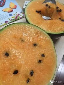 往期抖音热门旧瓜,回顾那些曾引发热议的瞬间