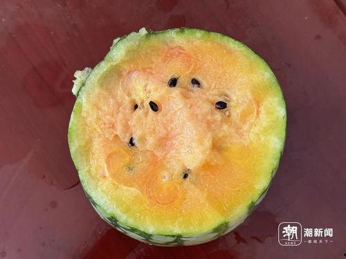 丽水热门瓜,揭秘热门瓜的幕后故事