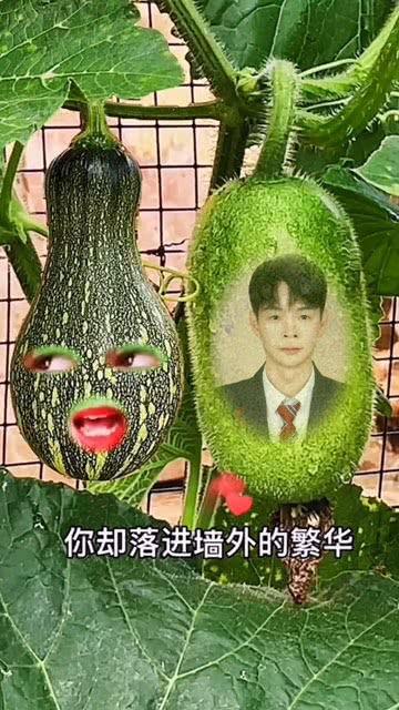 瓜特效热门,揭秘热门短视频背后的魔法魅力