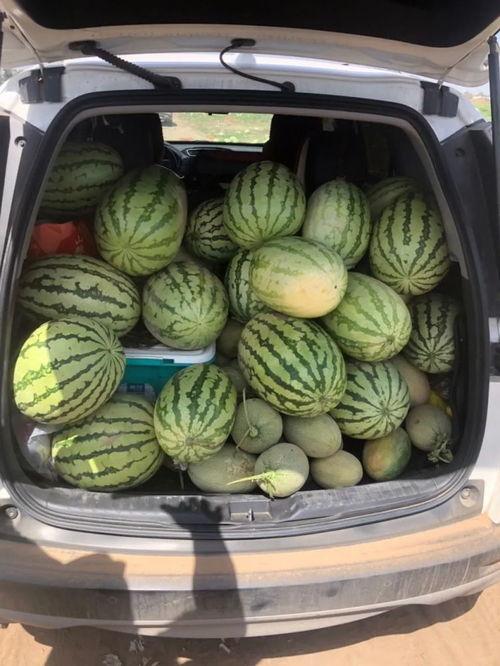 导航热门瓜,导航界的焦点事件大盘点