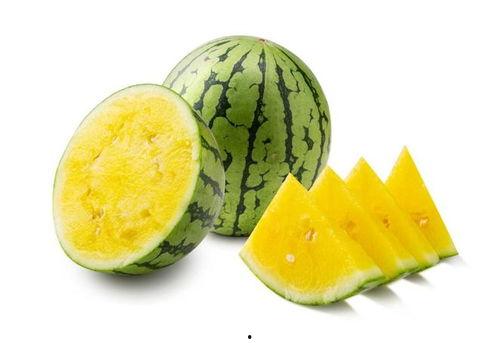 导航热门瓜,导航界的焦点事件大盘点